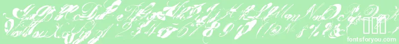 GarglenutzRecur51ve Font – White Fonts on Green Background