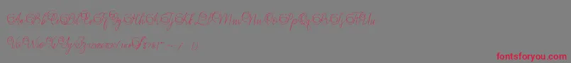 Mandailing Font – Red Fonts on Gray Background