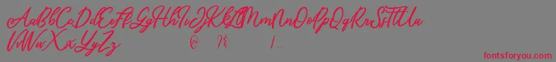 Mandymores-Schriftart – Rote Schriften auf grauem Hintergrund