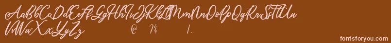 fuente Mandymores – Fuentes Rosadas Sobre Fondo Marrón