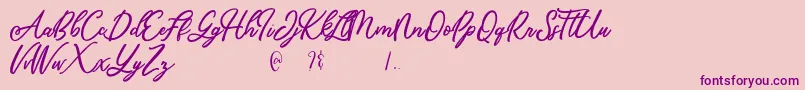 Mandymores Font – Purple Fonts on Pink Background