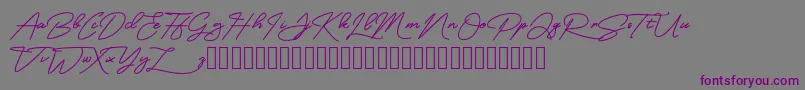 MangoSign-Schriftart – Violette Schriften auf grauem Hintergrund