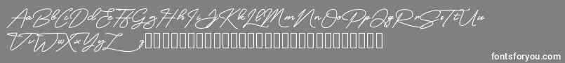 MangoSign-Schriftart – Weiße Schriften auf grauem Hintergrund