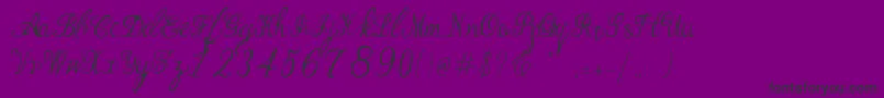 Manhattan Script Font – Black Fonts on Purple Background