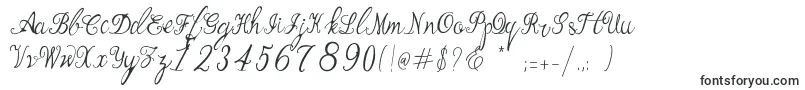 Manhattan Script Font – Fonts for Adobe