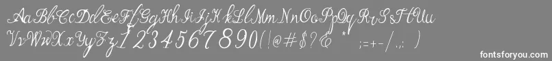 Manhattan Script Font – White Fonts on Gray Background