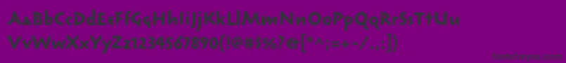 ReliqstdBoldcalm Font – Black Fonts on Purple Background