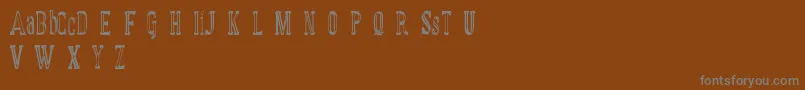 MANUAL FONT basic demo Font – Gray Fonts on Brown Background