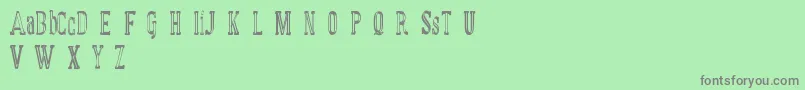 MANUAL FONT basic demo Font – Gray Fonts on Green Background