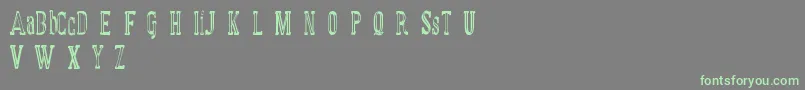 MANUAL FONT basic demo Font – Green Fonts on Gray Background