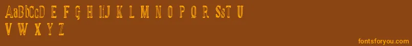 MANUAL FONT basic demo Font – Orange Fonts on Brown Background