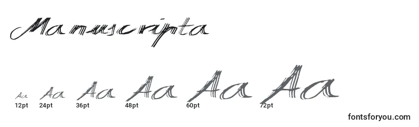 Размеры шрифта Manuscripta