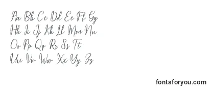 Обзор шрифта Maqella Script
