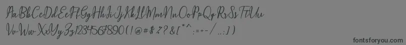 Czcionka Maqella Script – czarne czcionki na szarym tle