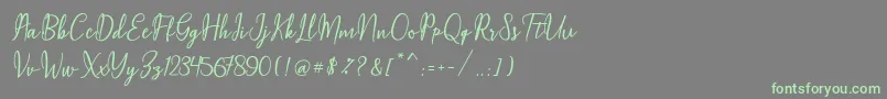 Maqella Script-Schriftart – Grüne Schriften auf grauem Hintergrund