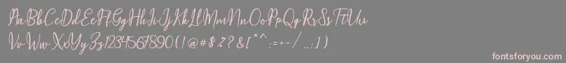 Шрифт Maqella Script – розовые шрифты на сером фоне