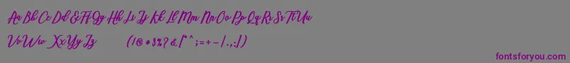 Marcela Script Font – Purple Fonts on Gray Background