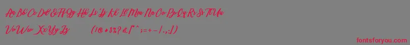 Marcela Script Font – Red Fonts on Gray Background