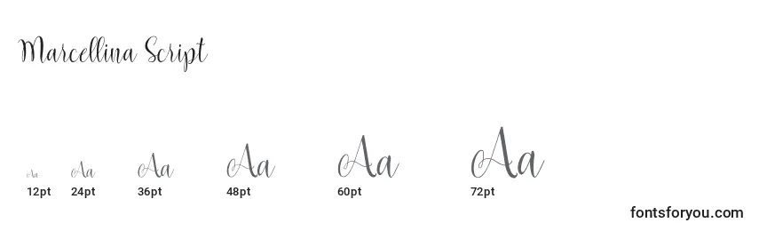 Marcellina Script Font Sizes