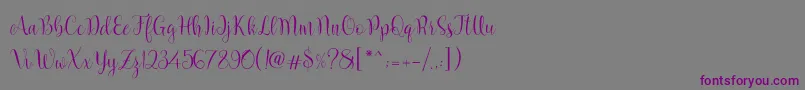 Шрифт Marcellina Script – фиолетовые шрифты на сером фоне