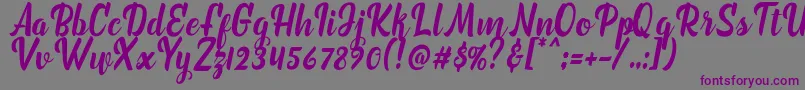 marchelina script Font – Purple Fonts on Gray Background