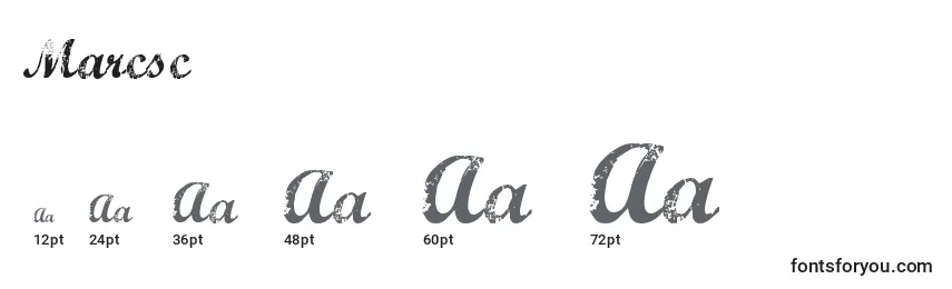 Размеры шрифта Marcsc    (133571)