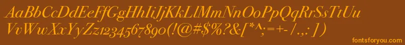 Bodoni72oscItalic Font – Orange Fonts on Brown Background