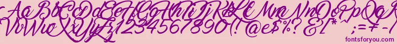 Marguerite Font – Purple Fonts on Pink Background