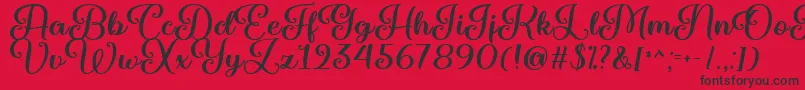 Marienkaefer   Font – Black Fonts on Red Background