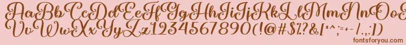 Marienkaefer   Font – Brown Fonts on Pink Background