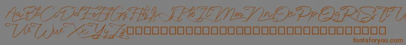 marikita Font – Brown Fonts on Gray Background