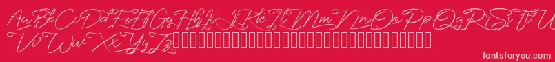 Police marikita – polices roses sur fond rouge