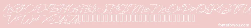フォントmarikita – ピンクの背景に白い文字
