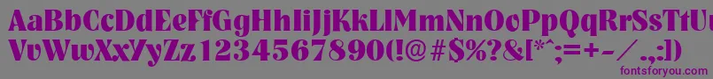 NashvilleserialXboldRegular Font – Purple Fonts on Gray Background