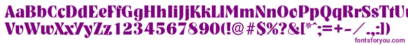 NashvilleserialXboldRegular Font – Purple Fonts