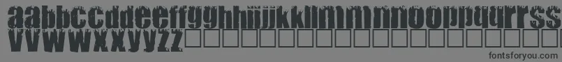 MARK-Schriftart – Schwarze Schriften auf grauem Hintergrund