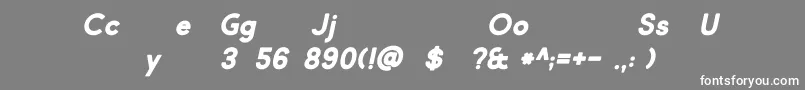 Market Fresh Bold Italic Font – White Fonts on Gray Background