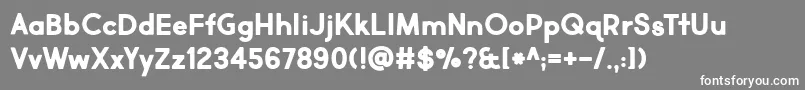 Market Fresh Bold Font – White Fonts on Gray Background