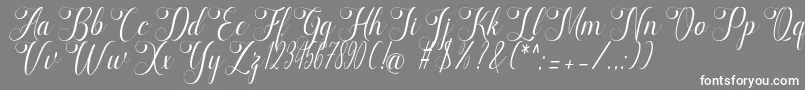 marketing Font – White Fonts on Gray Background