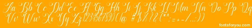 marketing Font – White Fonts on Orange Background