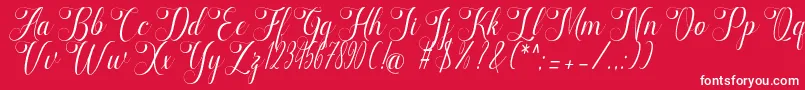 marketing Font – White Fonts on Red Background