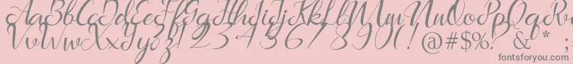 Marlena Font – Gray Fonts on Pink Background