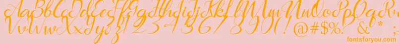 Marlena Font – Orange Fonts on Pink Background