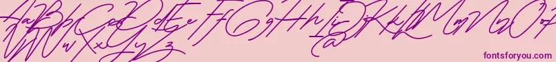 Marlies Free-Schriftart – Violette Schriften auf rosa Hintergrund