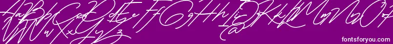 Marlies Free-Schriftart – Weiße Schriften auf violettem Hintergrund