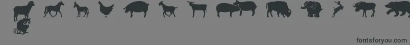 フォントFarmwildanimalsCsp – 黒い文字の灰色の背景