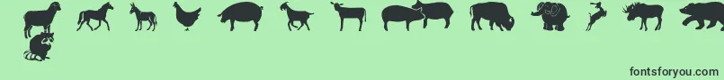 FarmwildanimalsCsp Font – Black Fonts on Green Background