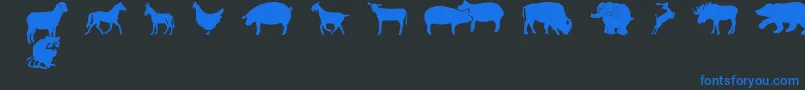 Police FarmwildanimalsCsp – polices bleues sur fond noir