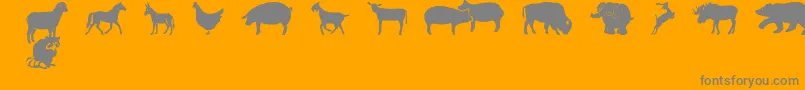 FarmwildanimalsCsp Font – Gray Fonts on Orange Background