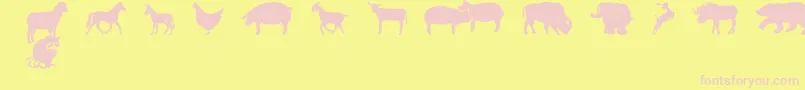 FarmwildanimalsCsp-fontti – vaaleanpunaiset fontit keltaisella taustalla